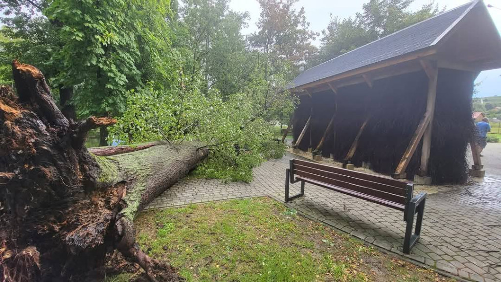 Prace w Parku Podworskim w Łukowicy - wycinka i pielęgnacja drzew zagrażających bezpieczeństwu