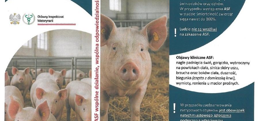 Uwaga - ASF Afrykański Pomór Świń