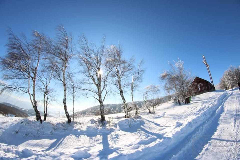 Informacja z otwarcia przetargu „Zimowe utrzymanie dróg gminnych na terenie Gminy Łukowica w sezonie zimowym 2025/2026.”