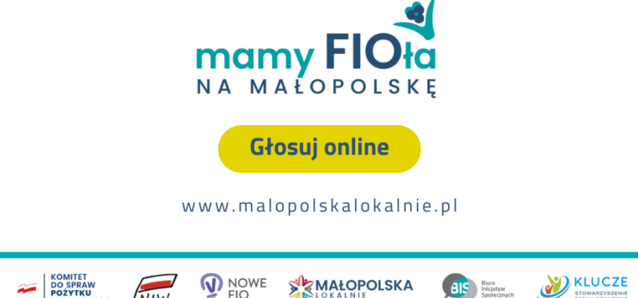 Wybierz najciekawszą inicjatywę Małopolska Lokalnie 2025!