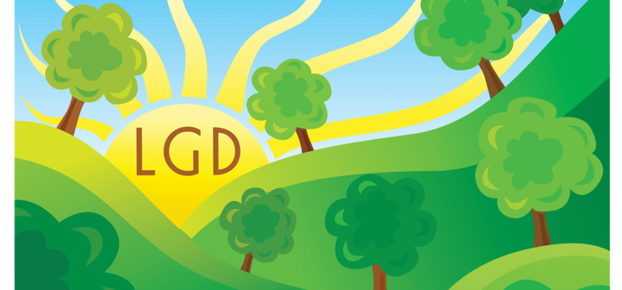 Główne założenia LSR