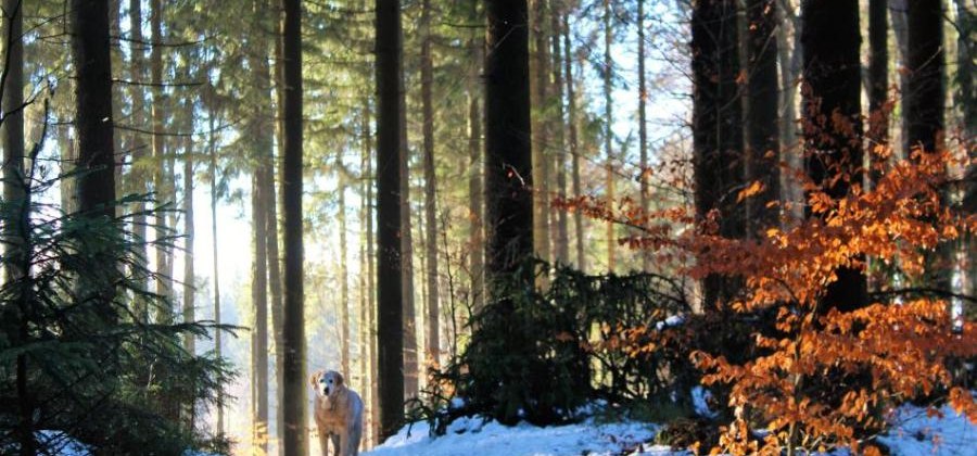 WAŻNY APEL DO MIESZKAŃCÓW