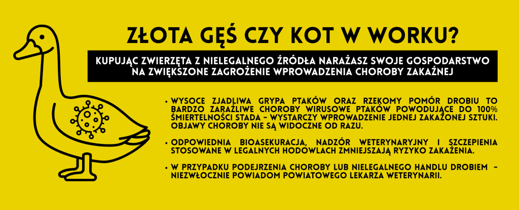 KOMUNIKAT POWIATOWEGO LEKARZA WETERYNARII W LIMANOWEJ DO HODOWCÓW I POSIADACZY DROBIU