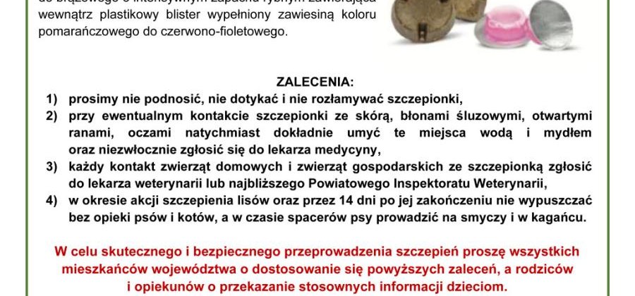 Jesienna akcja ochronnego szczepienia dzikich lisów przeciwko wściekliźnie