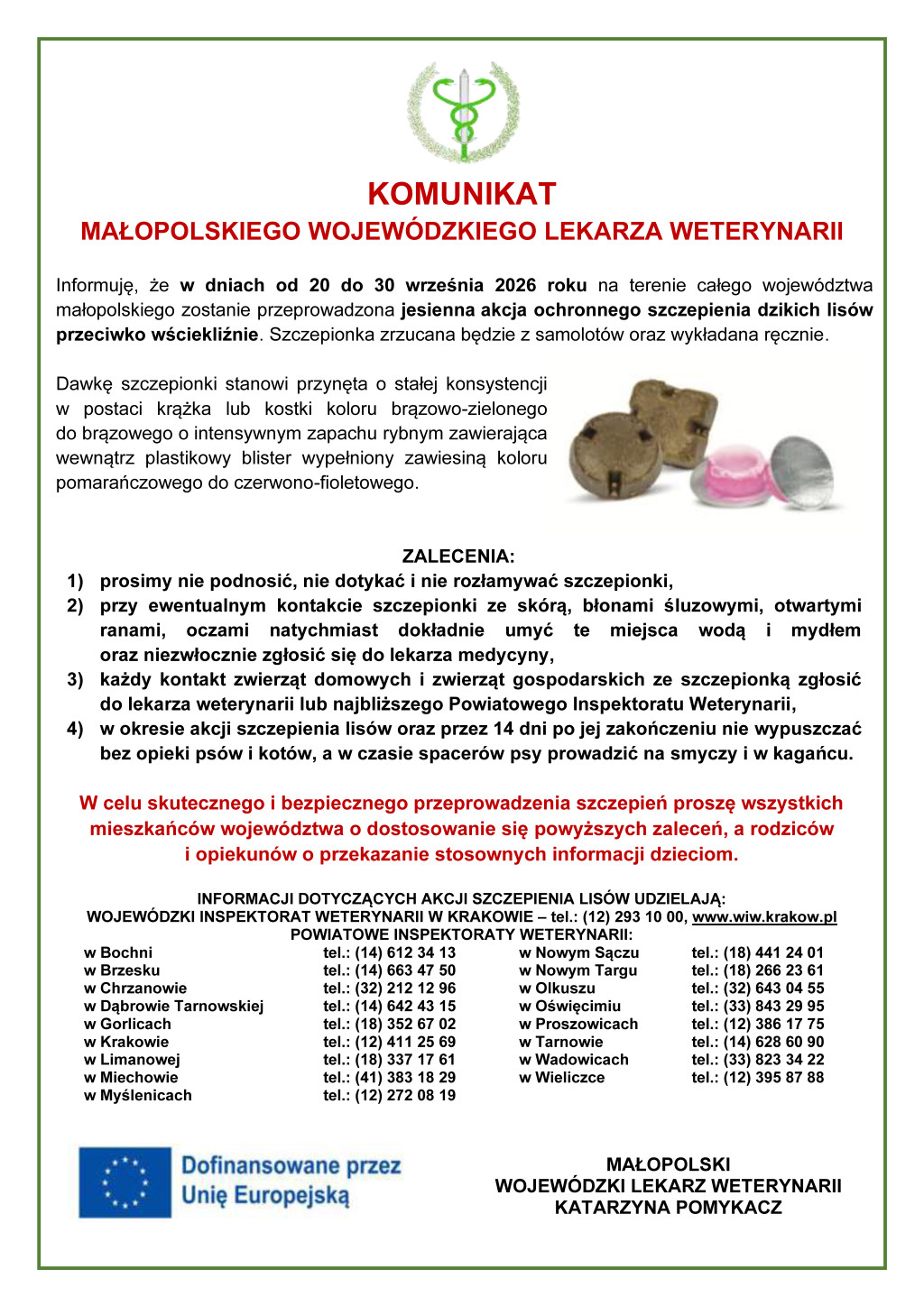 Jesienna akcja ochronnego szczepienia dzikich lisów przeciwko wściekliźnie