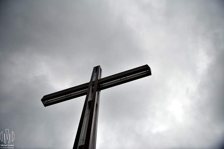 -> MSZA NA CISOWYM DZIALE