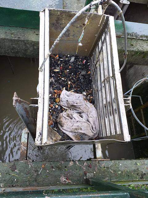 -> APEL W SPRAWIE UŻYTKOWANIA KANALIZACJI