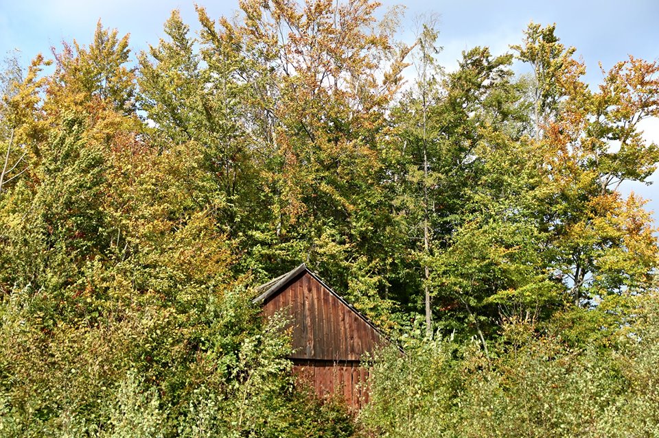 -> GMINA ŁUKOWICA W JESIENNEJ SZACIE