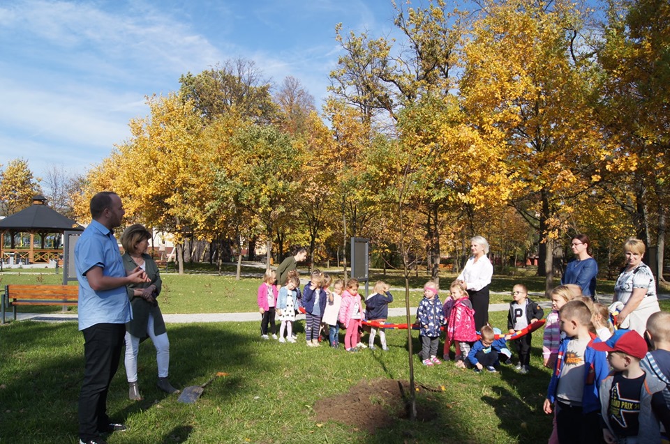 -> NOWE DRZEWA W PARKU W ŁUKOWICY