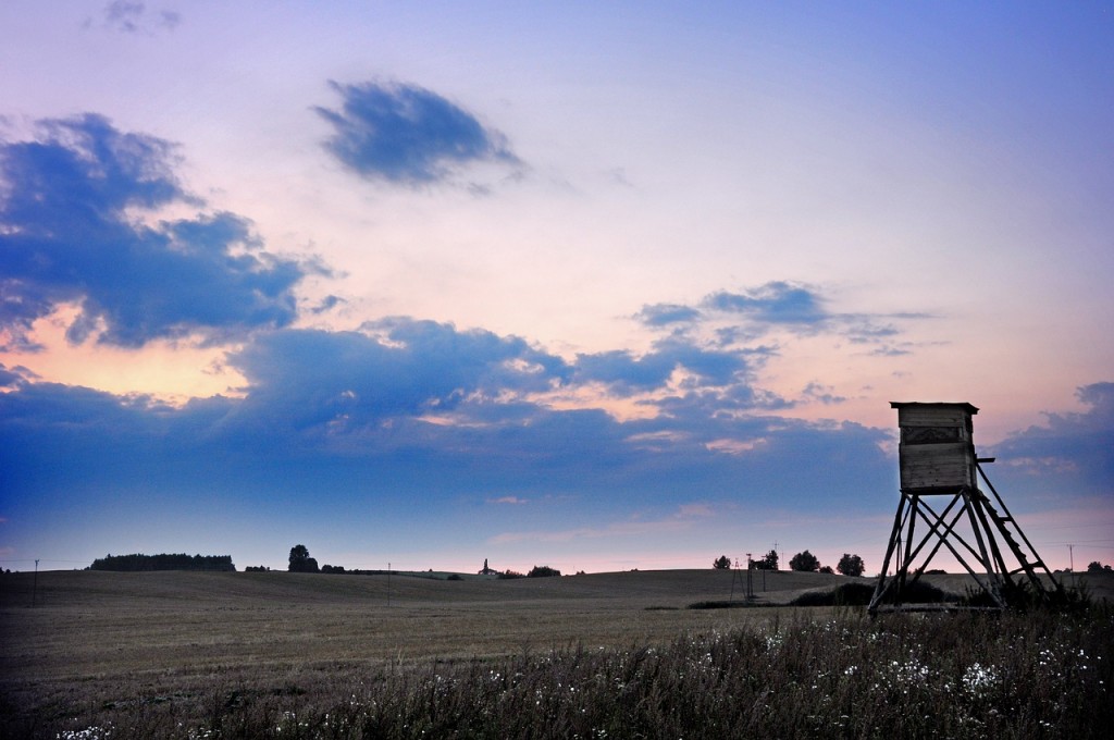 -> KALENDARZ POLOWAŃ-SEZON 2019/2020