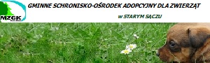 Gminne Schronisko - Ośrodek Adopcyjny dla Zwierząt w Starym Sączu